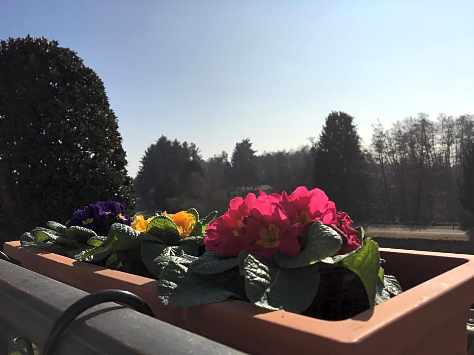 La Terrazza sul Naviglio B&B
