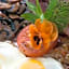 Hermanus Guest House