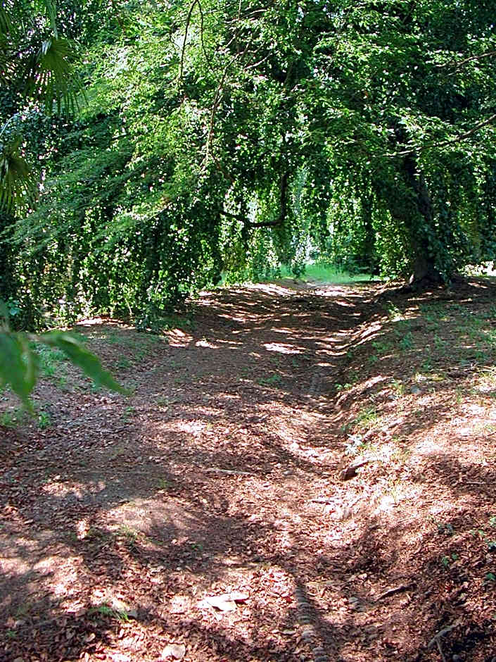 B&B Villa Cernigliaro Dimora Storica