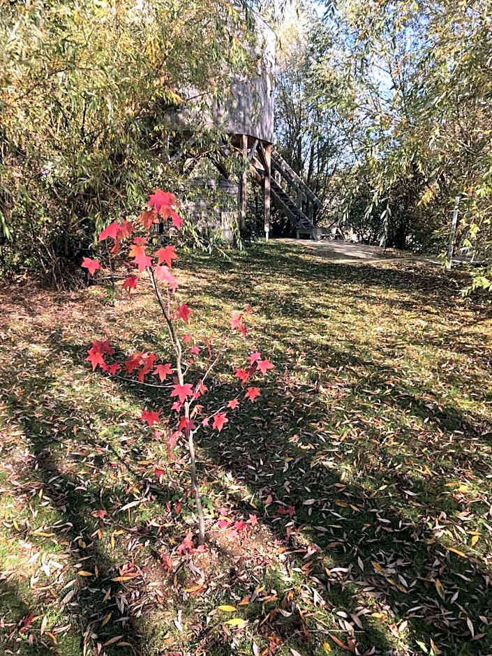 Lodges des grands crus