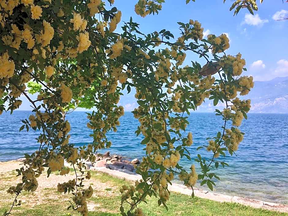 Piccolo Hotel Direkt am See