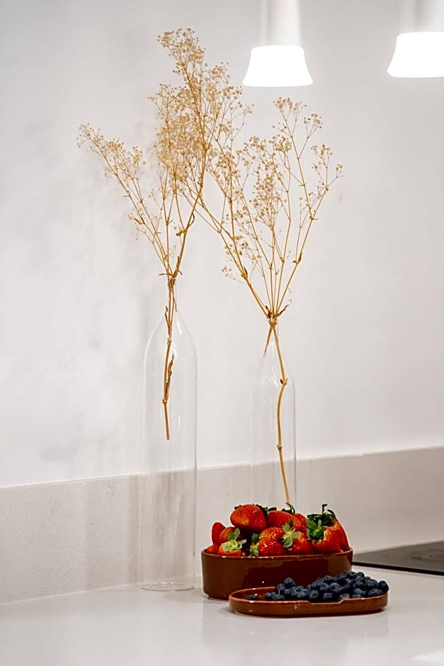 Haneviim 45 - Isrentals