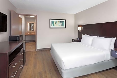 1 Queen Bed, Mobility Accessible Room, Pet-Friendly, Non-Smoking