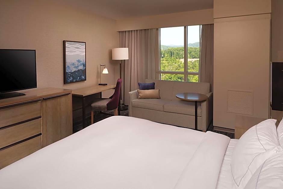 Hilton Asheville Biltmore Park