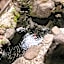 Tsuruya / Vacation STAY 59066