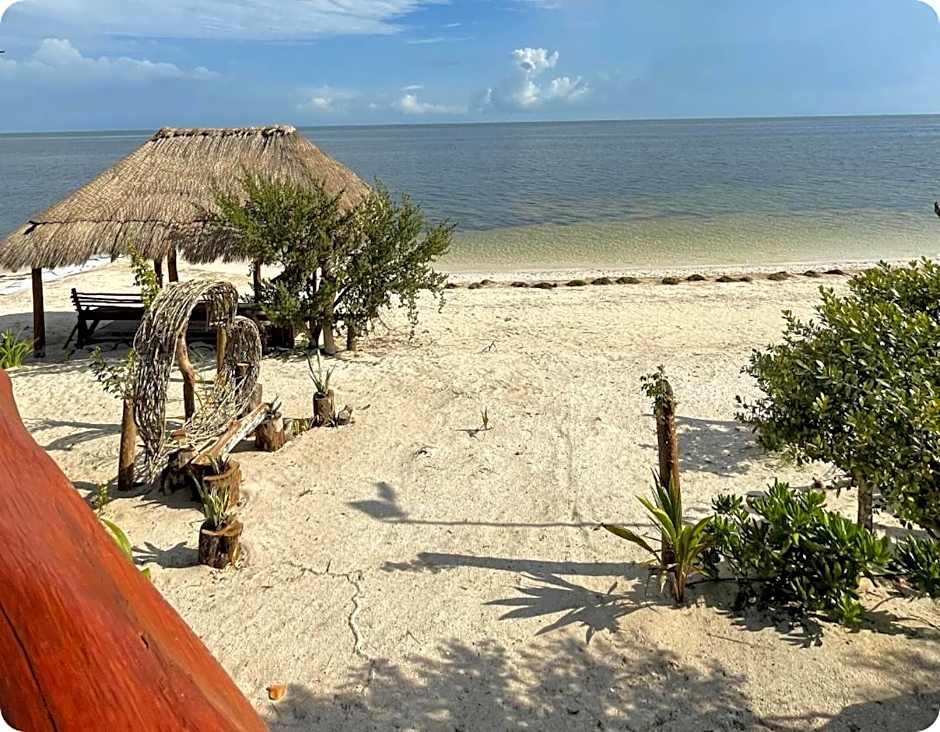 Experiencia Casa Blanca