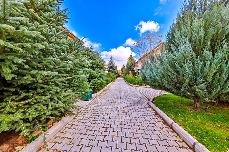 Afyon Dundar Thermal Villa