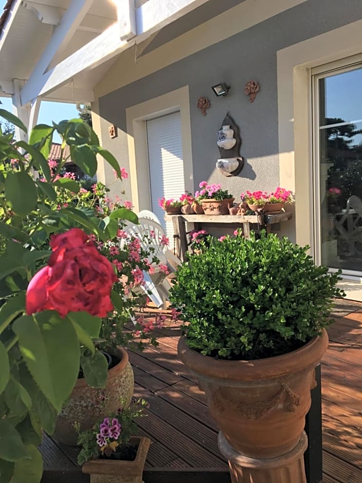 Chambres d'Hôtes d'Aliénor