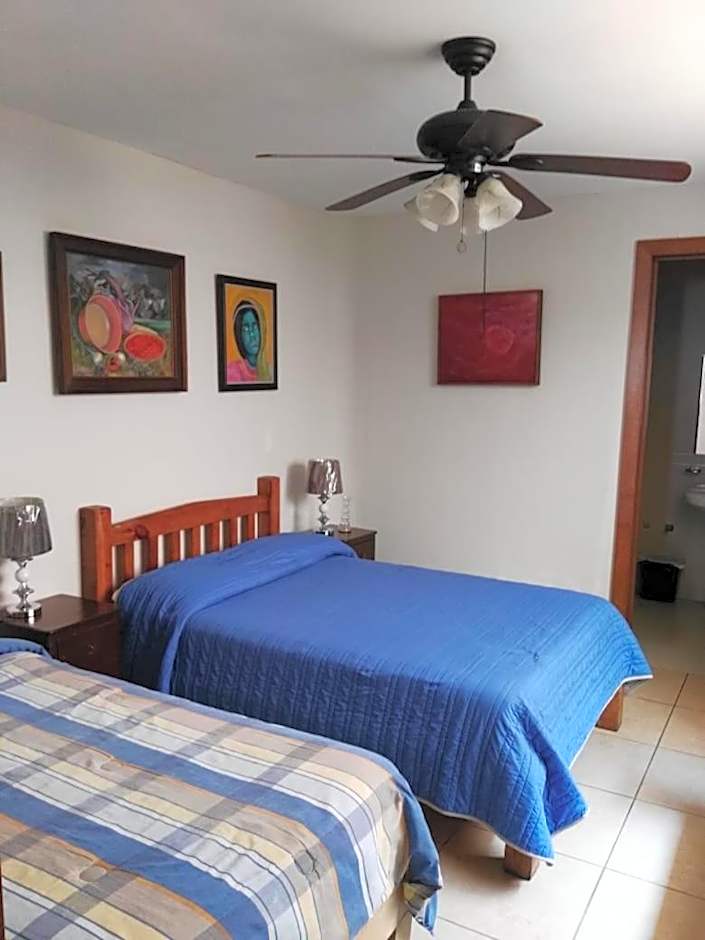 Olga Querida B&B Hostal