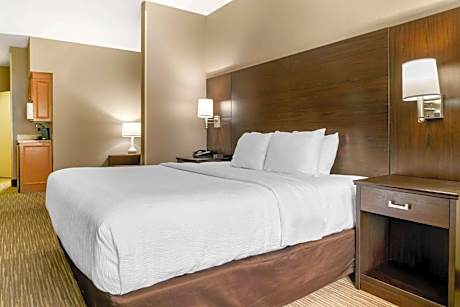 1 King Bed Suite Nonsmoking Accessible