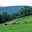 Landhotel Fernblick