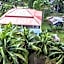 Mythai Guesthouse