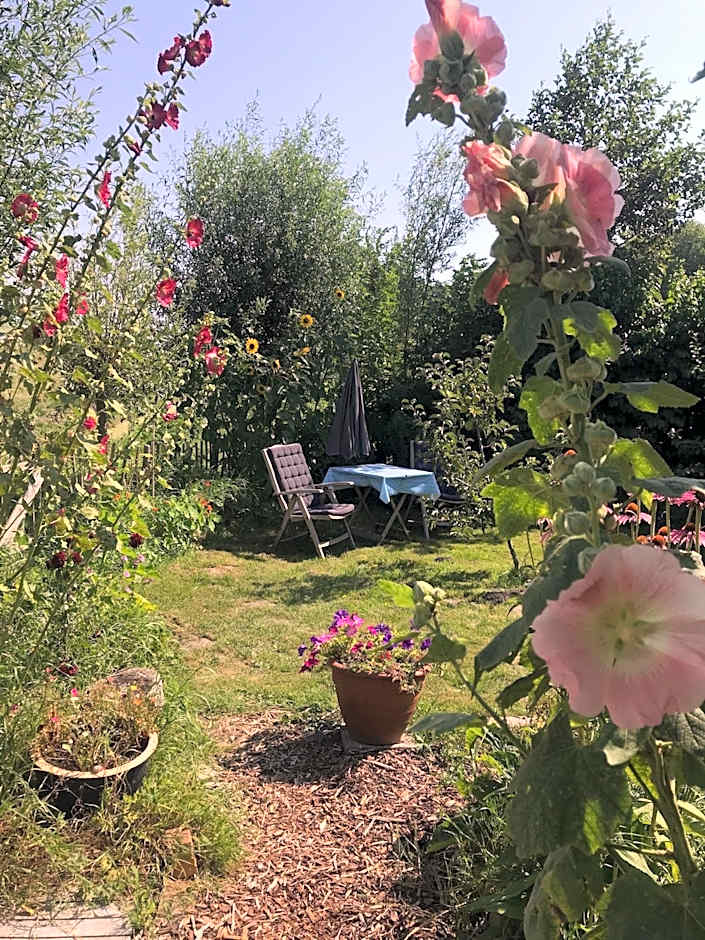 Rosa's zonnige huisje bij duinen bos en strand