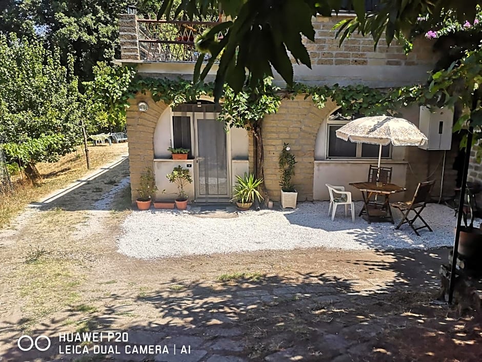 Ape Regina agriturismo 2 Montelarco