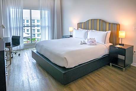 The Level Family Suite