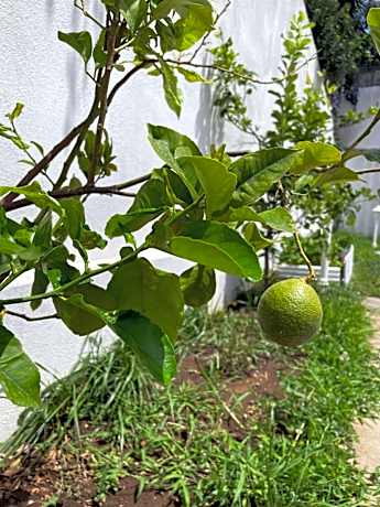 Double Room with Private Entrance and Garden View