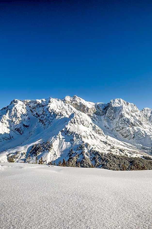 Der Alpenhof Maria Alm