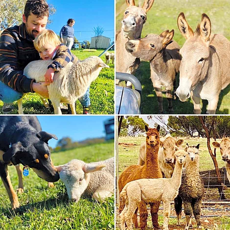 Sandalwood Downs Fabulous Farm Stay TOODYAY