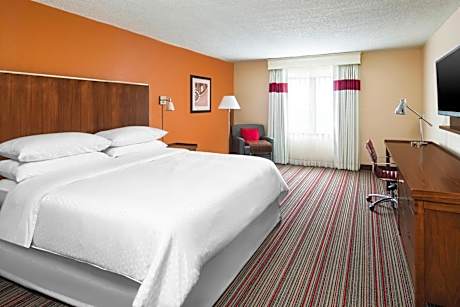 Guest Room, 1 King
