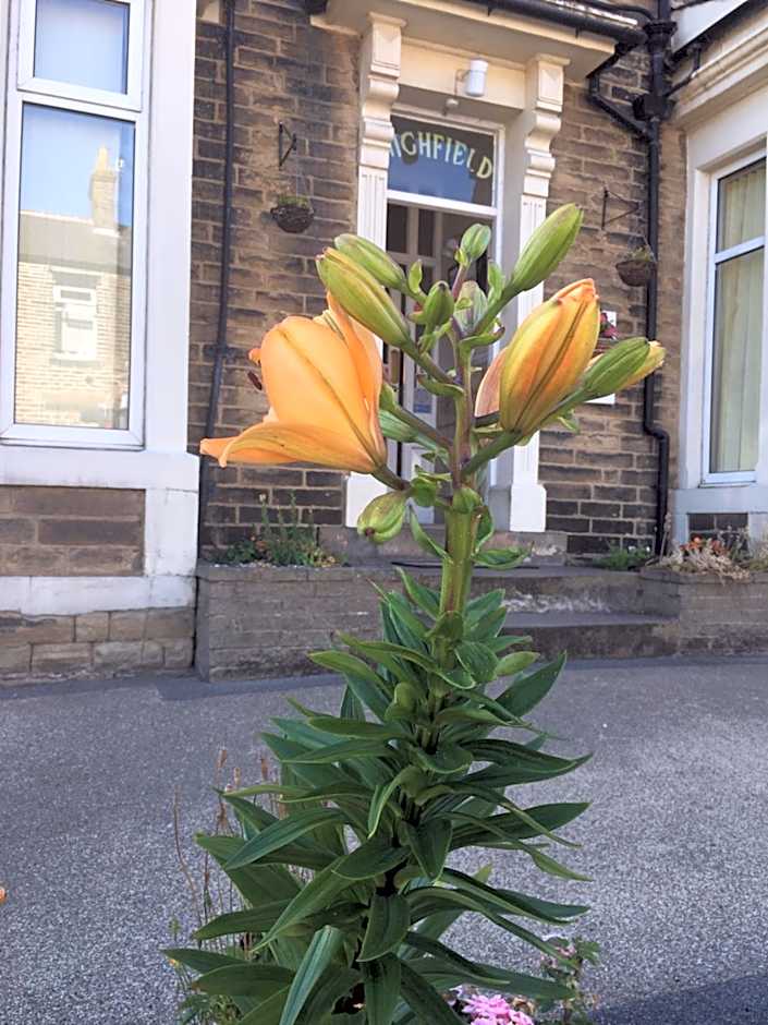 Highfield Guesthouse