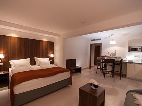 Studio with Balcony with Park View