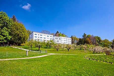 Le Domaine (Swiss Lodge)