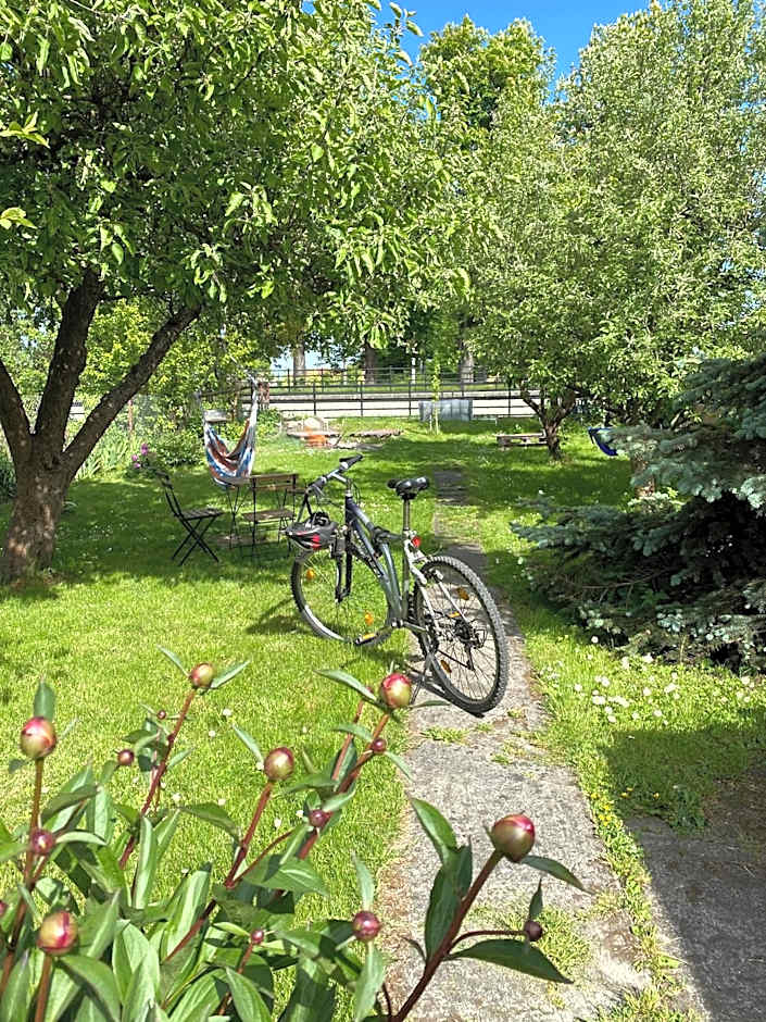 Hostel Mamas & Papas