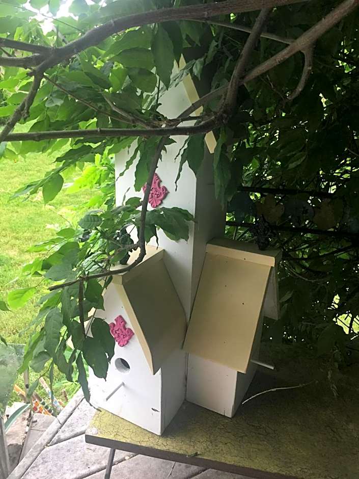 Lulu's Bed & Breakfast