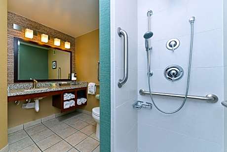 Standard King Room with Roll-In Shower - Mobility Access