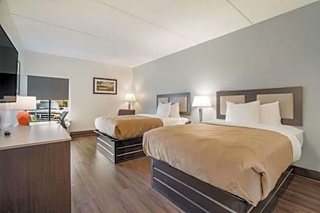 Standard Double Room with Two Double Beds