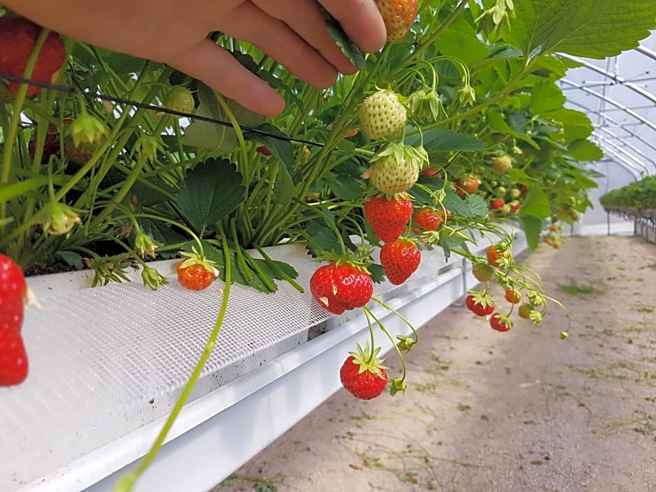 AGRITURISMO La Giasena