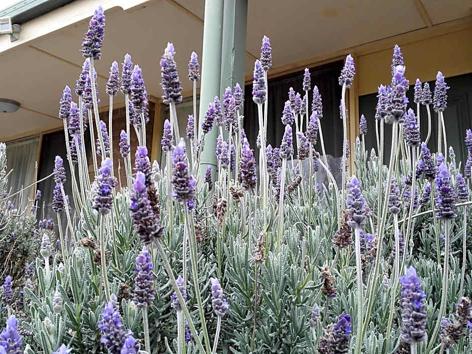 Ballarat Eureka Lodge Motel