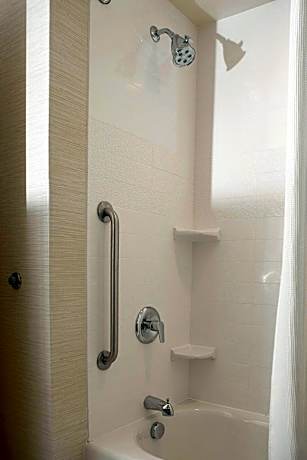 Suite, 1 King Bed with Sofa bed (1 King Bed and 1 Double Sofa Bed)