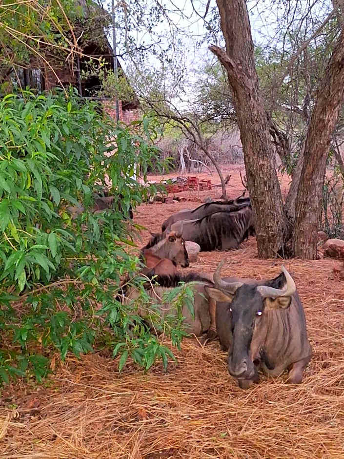 Kruger Riverside Lodge