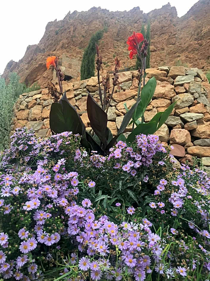 Auberge Le Festival Todra Gorge