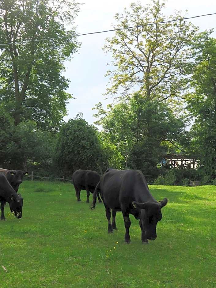 Hotel Villa Simplicitas