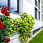 Hotel Nessi Locarno