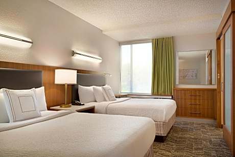 Studio, 2 Queen, Sofa bed