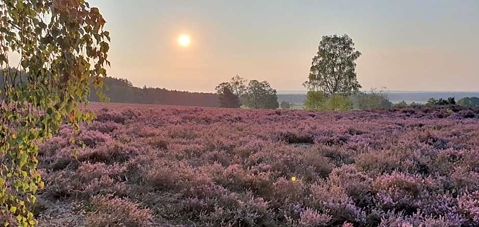 Residenzia Hotel Grenadier