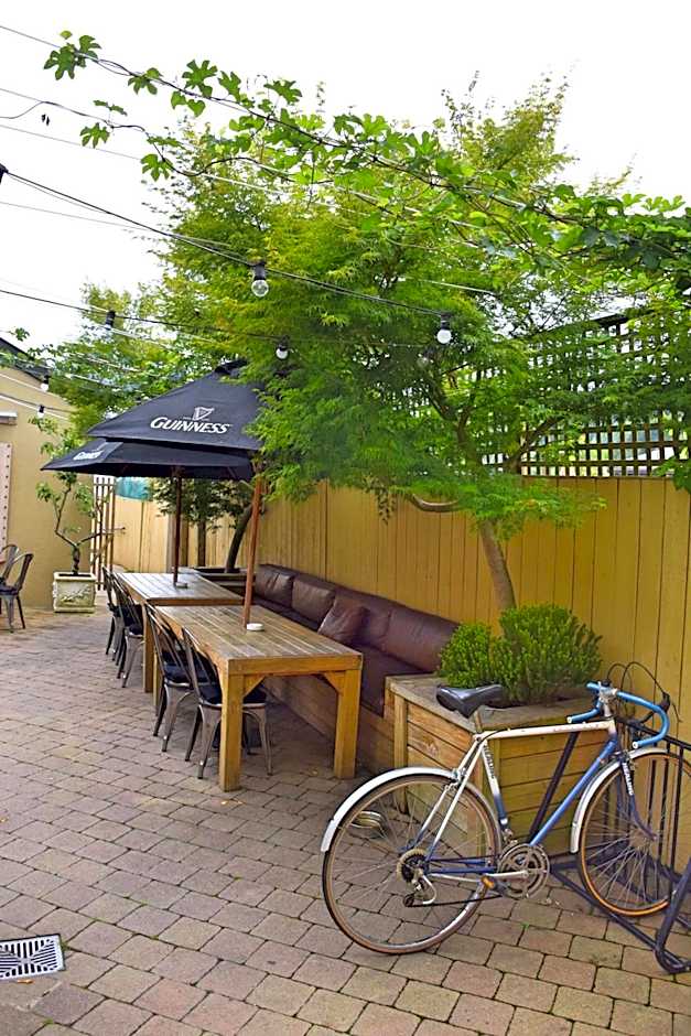 The Prince Albert Backpackers & Bar