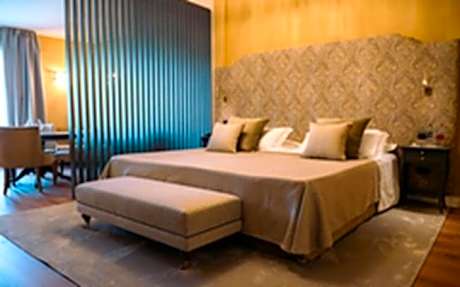Junior Suite with Terrace