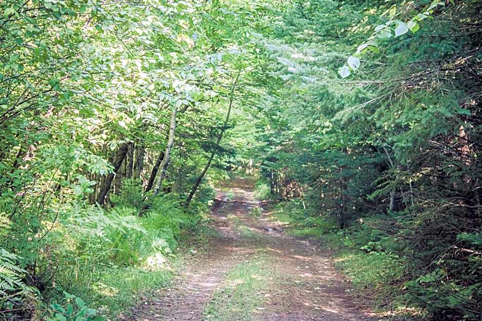 North Ironwood Acres - Black River Lodge