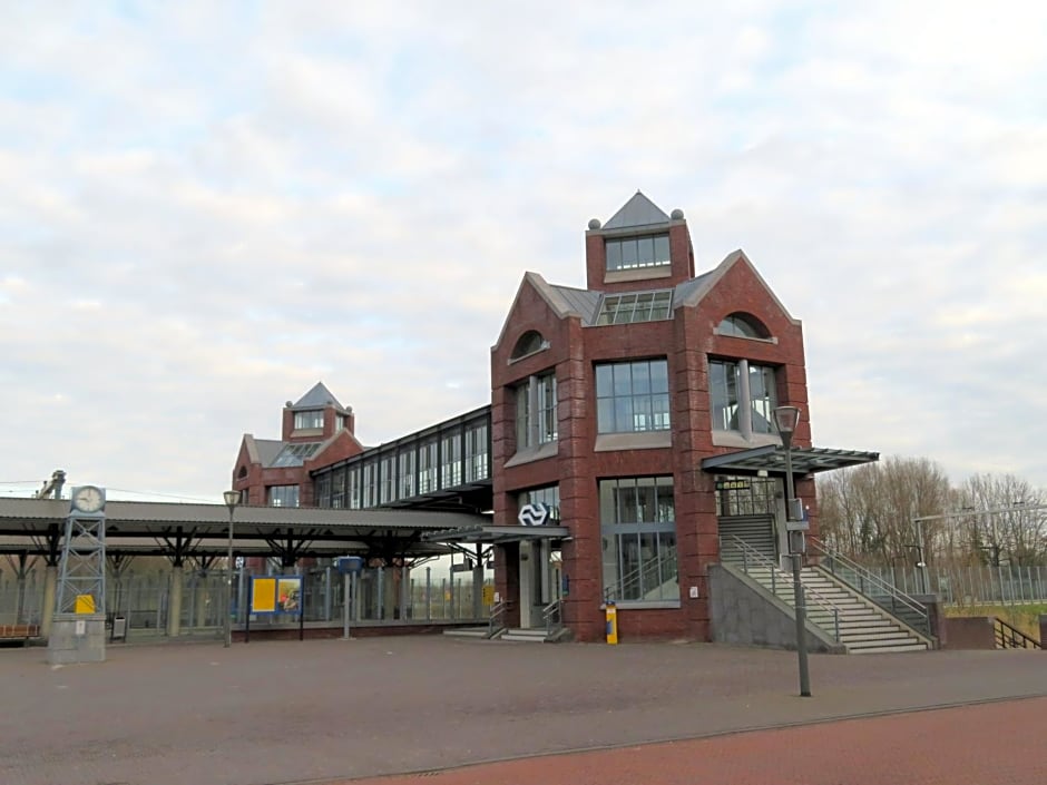 Jacky's Place – Helmond, SD