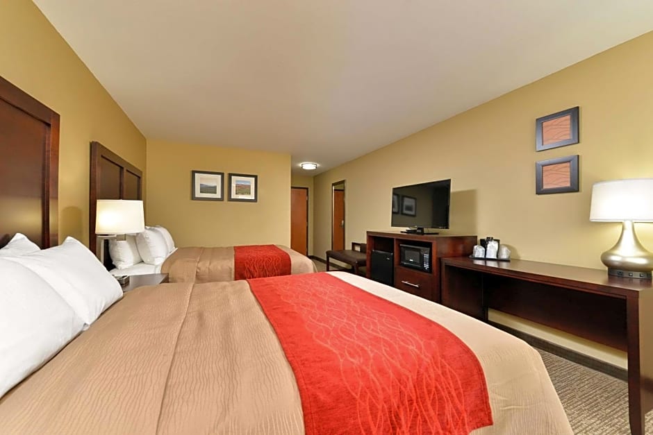 Comfort Inn and Suites Manheim
