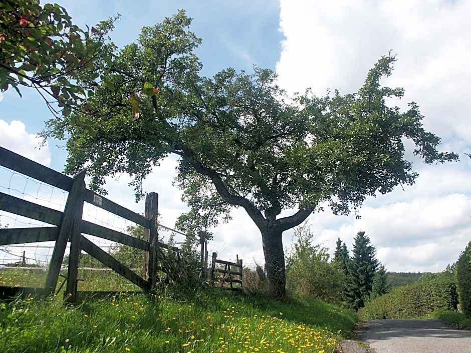 Hotel Zur Burg Sternberg