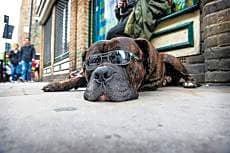 The Corner London City