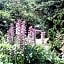 Chambres du Jardin Fleuri