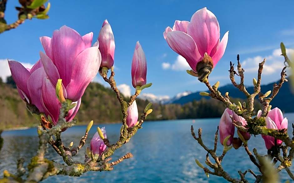 Hotel Vogelweiderhof