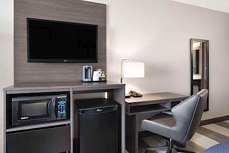 Standard Queen One-Bedroom - Non-Smoking