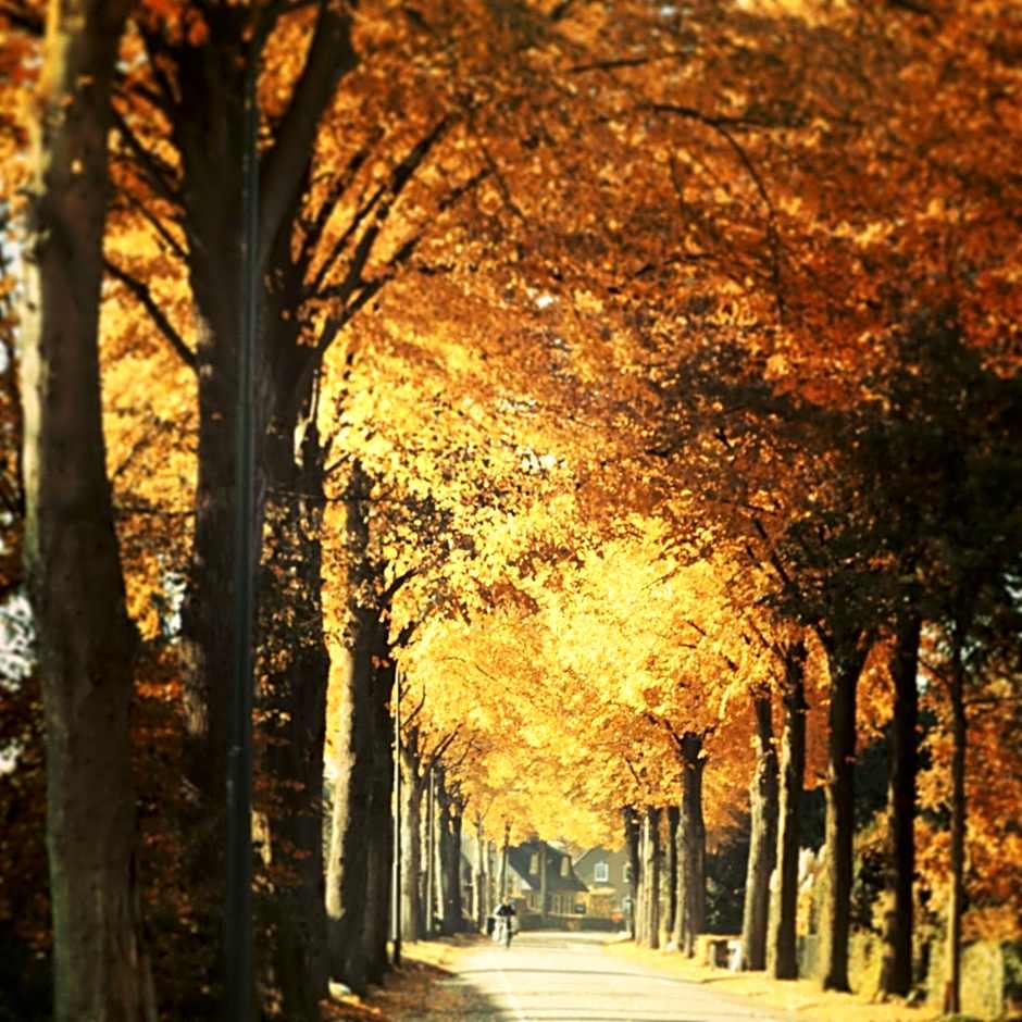 Bed & Breakfast Karakter